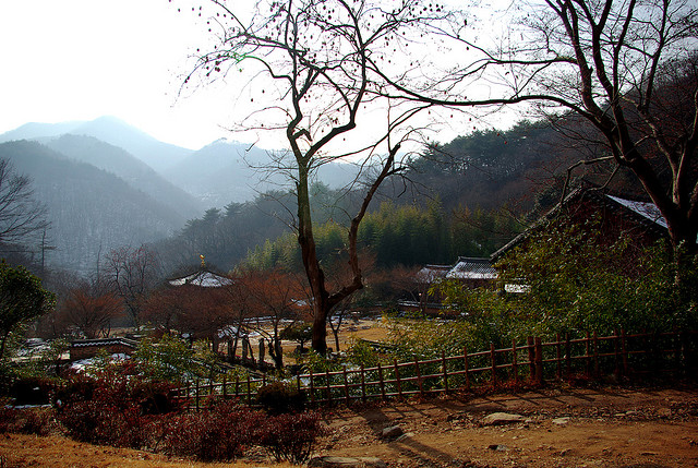 Đại Nguyên Tự, Hàn Quốc nơi tìm hiểu Mật Tông