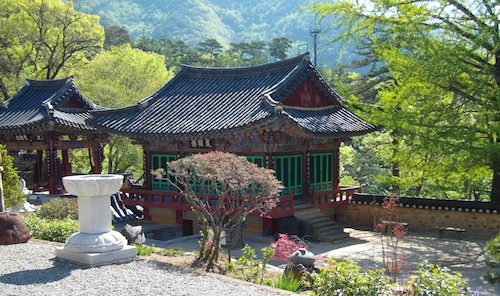 Đại Nguyên Tự, Hàn Quốc nơi tìm hiểu Mật Tông