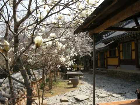 Đại Nguyên Tự, Hàn Quốc nơi tìm hiểu Mật Tông