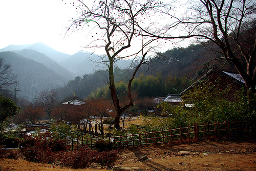 Đại Nguyên Tự, Hàn Quốc nơi tìm hiểu Mật Tông