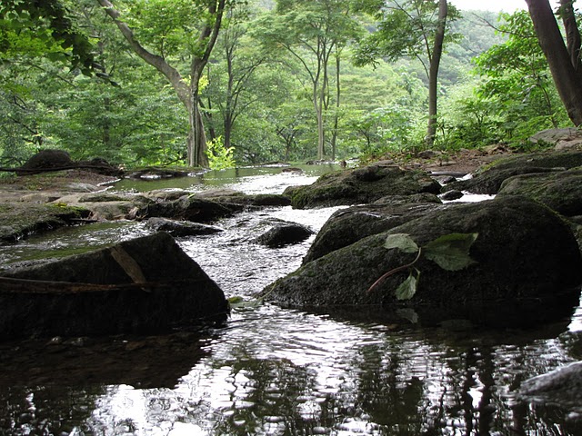 Đại Nguyên Tự, Hàn Quốc nơi tìm hiểu Mật Tông