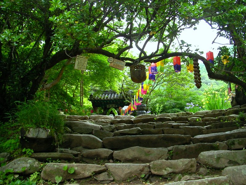 Đại Nguyên Tự, Hàn Quốc nơi tìm hiểu Mật Tông