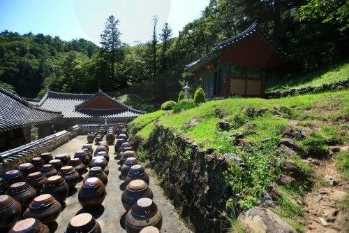 Đại Nguyên Tự, Hàn Quốc nơi tìm hiểu Mật Tông