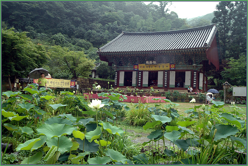 Đại Nguyên Tự, Hàn Quốc nơi tìm hiểu Mật Tông