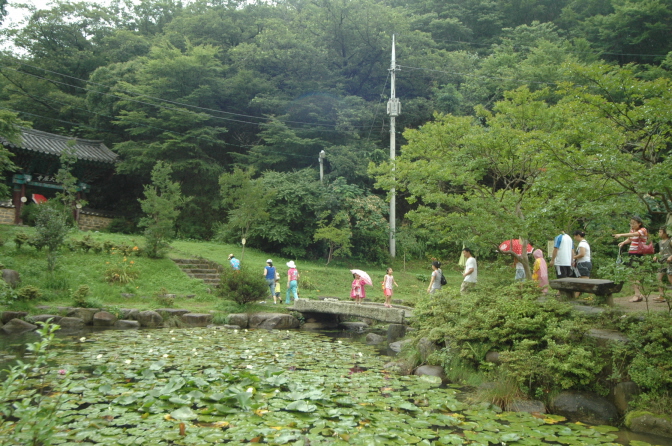 Đại Nguyên Tự, Hàn Quốc nơi tìm hiểu Mật Tông