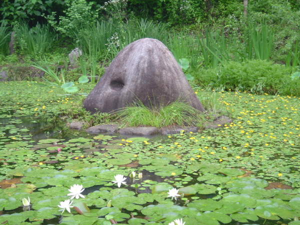 Đại Nguyên Tự, Hàn Quốc nơi tìm hiểu Mật Tông
