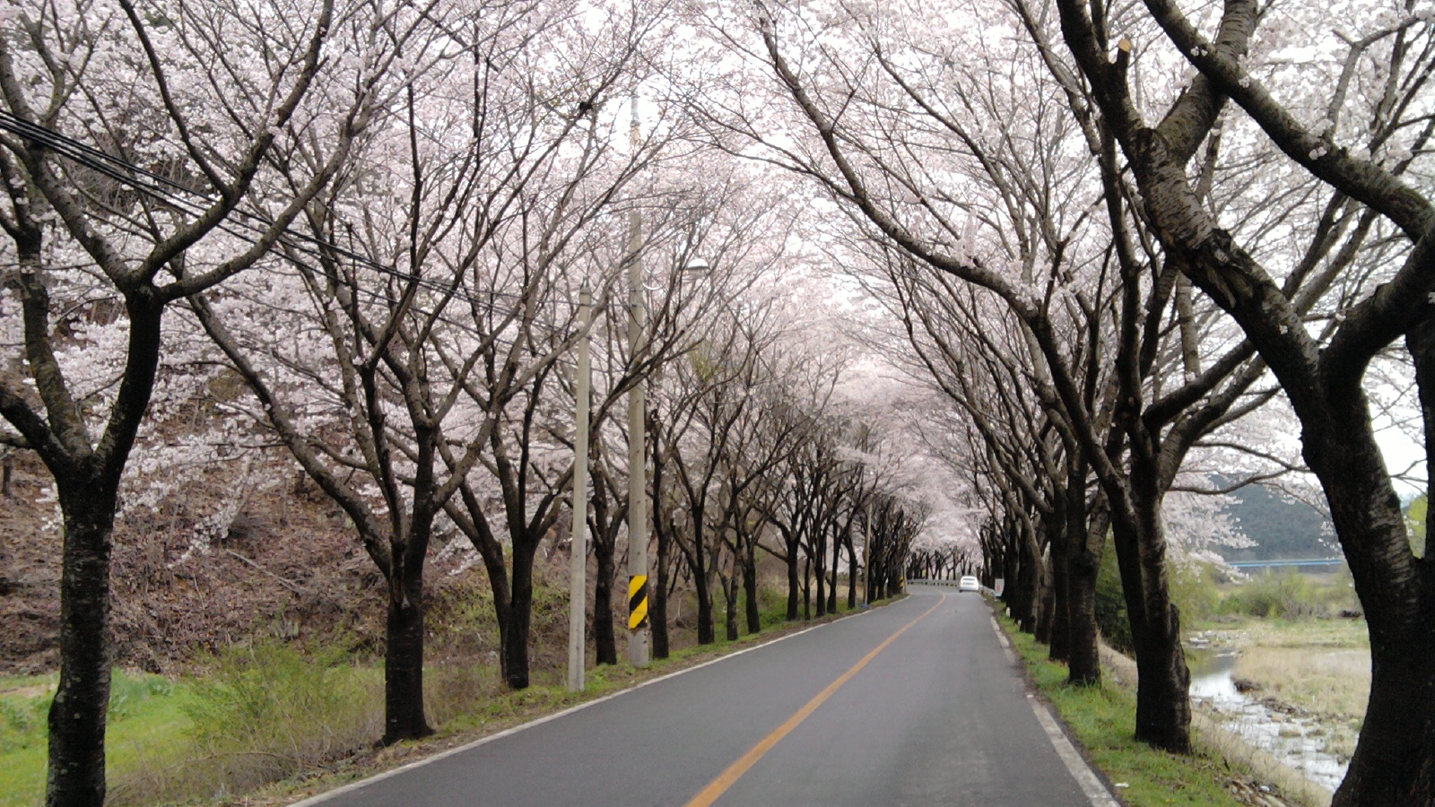 Đại Nguyên Tự, Hàn Quốc nơi tìm hiểu Mật Tông