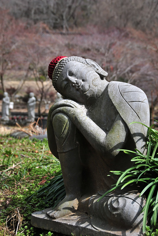 Đại Nguyên Tự, Hàn Quốc nơi tìm hiểu Mật Tông