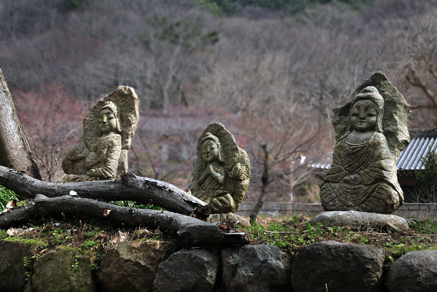 Đại Nguyên Tự, Hàn Quốc nơi tìm hiểu Mật Tông
