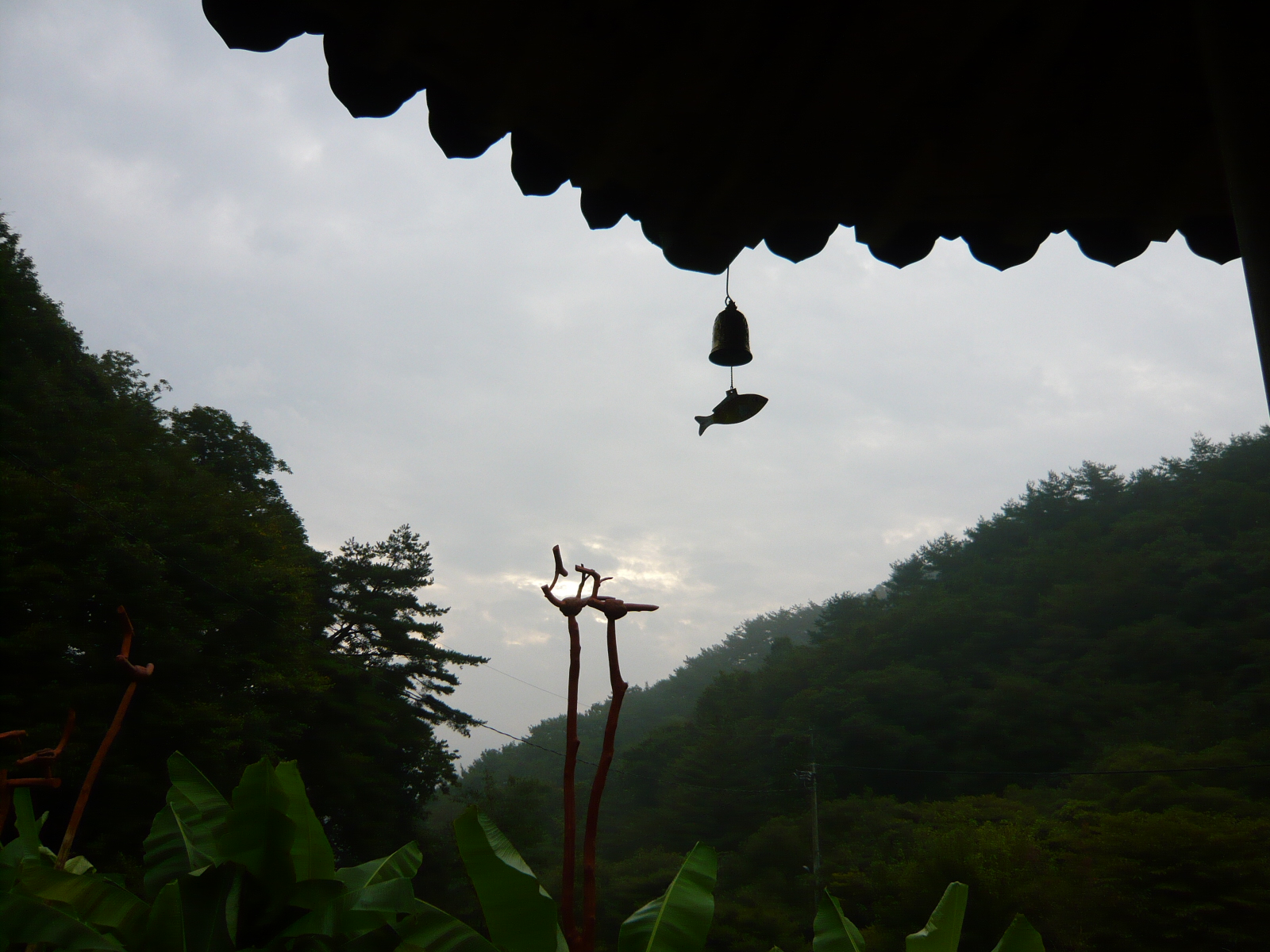 Đại Nguyên Tự, Hàn Quốc nơi tìm hiểu Mật Tông