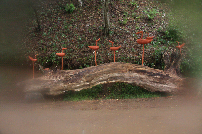 Đại Nguyên Tự, Hàn Quốc nơi tìm hiểu Mật Tông