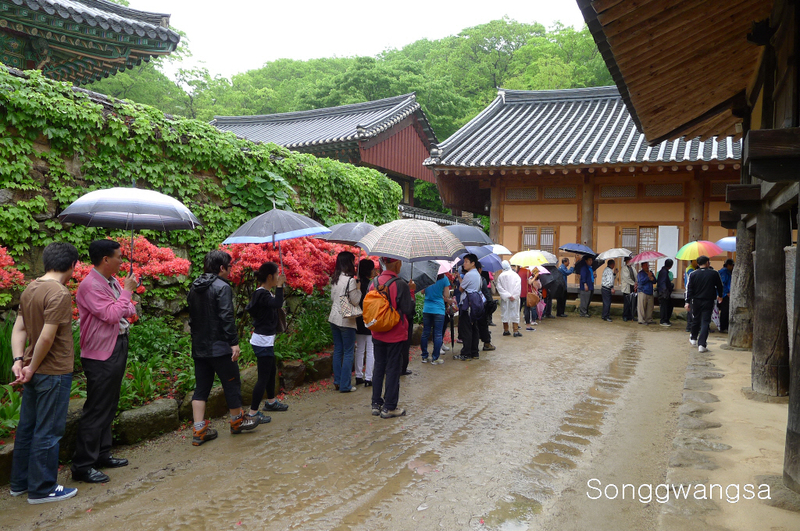 Hình ảnh lễ Tắm Phật, Tòng Quảng Tự Cổ Tự, Hàn Quốc