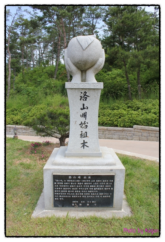 Lạc Sơn Cổ Tự (Naksansa), Hàn Quốc