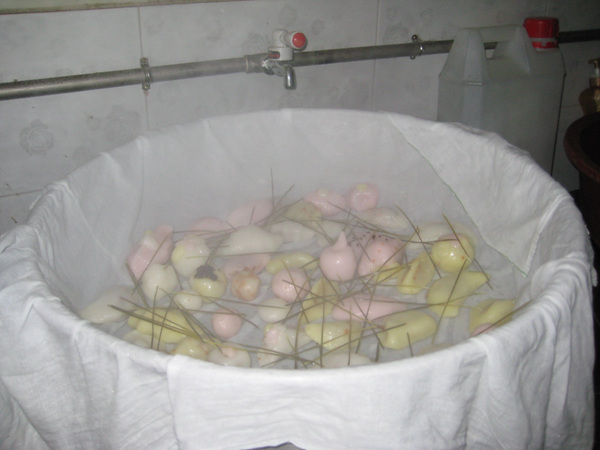 Chùa Hoằng Pháp, Hàn Quốc & tổ chức sự kiện văn hóa cho khách ngoại quốc