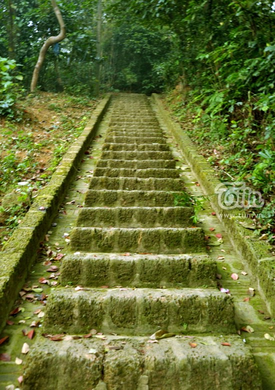 Đầu năm vãn cảnh chùa Tây Phương