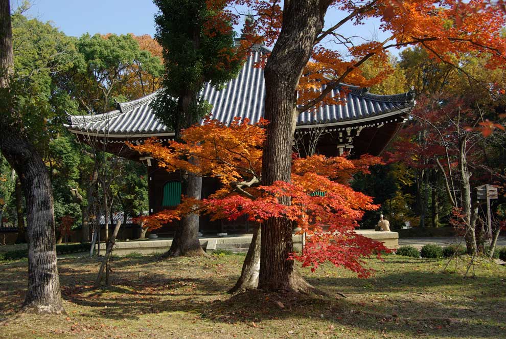 Sắc màu mùa thu ở Kyoto