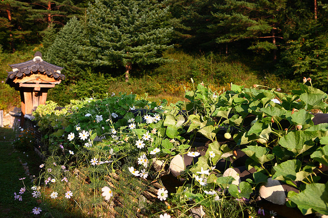 Bách Đàm Cổ Tự