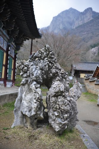 Bạch Dương Cổ Tự (백양사 -白羊寺) với núi rừng đẹp