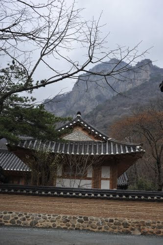 Bạch Dương Cổ Tự (백양사 -白羊寺) với núi rừng đẹp