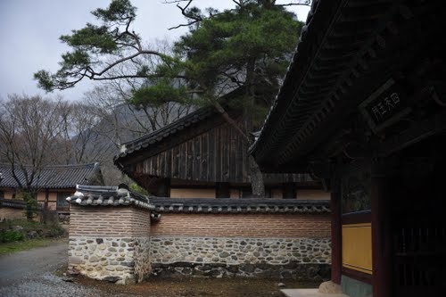 Bạch Dương Cổ Tự (백양사 -白羊寺) với núi rừng đẹp