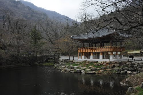 Bạch Dương Cổ Tự (백양사 -白羊寺) với núi rừng đẹp