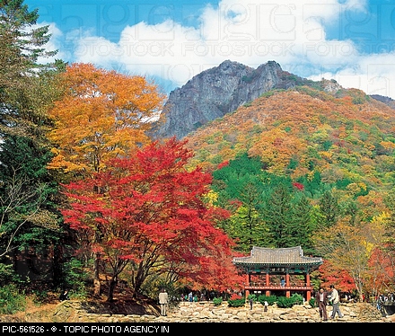 Bạch Dương Cổ Tự (백양사 -白羊寺) với núi rừng đẹp