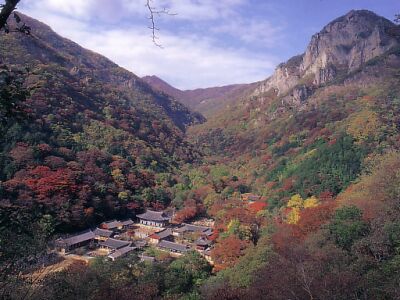 Bạch Dương Cổ Tự (백양사 -白羊寺) với núi rừng đẹp