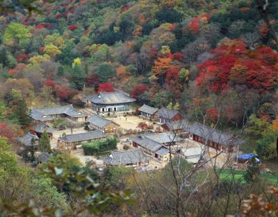 Bạch Dương Cổ Tự (백양사 -白羊寺) với núi rừng đẹp
