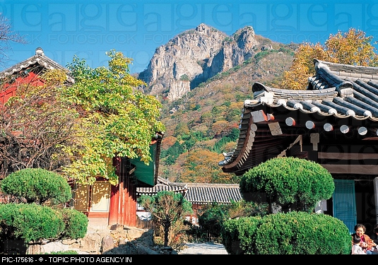 Bạch Dương Cổ Tự (백양사 -白羊寺) với núi rừng đẹp