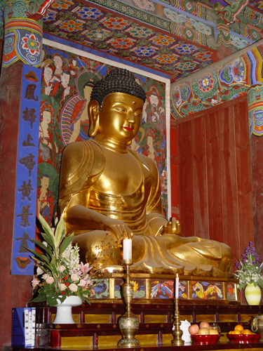 Bạch Dương Cổ Tự (백양사 -白羊寺) với núi rừng đẹp
