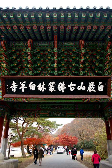 Bạch Dương Cổ Tự (백양사 -白羊寺) với núi rừng đẹp