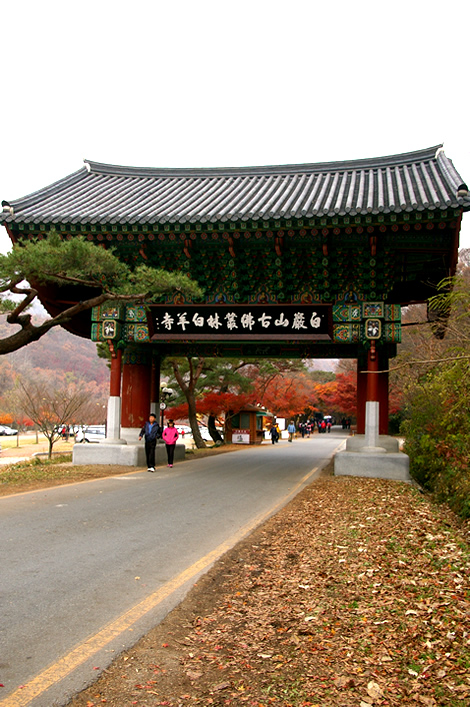 Bạch Dương Cổ Tự (백양사 -白羊寺) với núi rừng đẹp