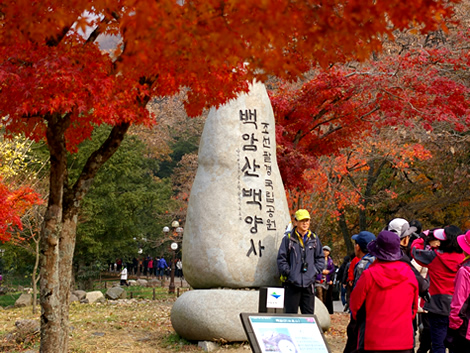 Bạch Dương Cổ Tự (백양사 -白羊寺) với núi rừng đẹp