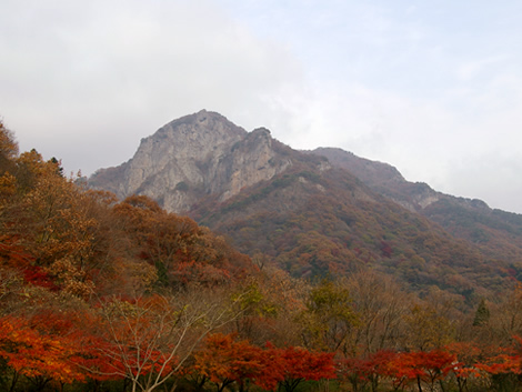 Bạch Dương Cổ Tự (백양사 -白羊寺) với núi rừng đẹp