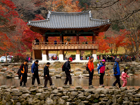 Bạch Dương Cổ Tự (백양사 -白羊寺) với núi rừng đẹp