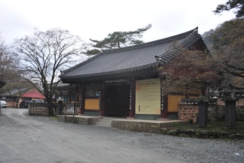 Bạch Dương Cổ Tự (백양사 -白羊寺) với núi rừng đẹp