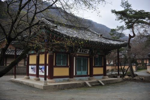 Bạch Dương Cổ Tự (백양사 -白羊寺) với núi rừng đẹp