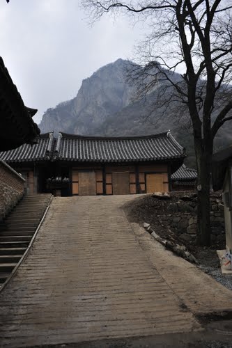 Bạch Dương Cổ Tự (백양사 -白羊寺) với núi rừng đẹp