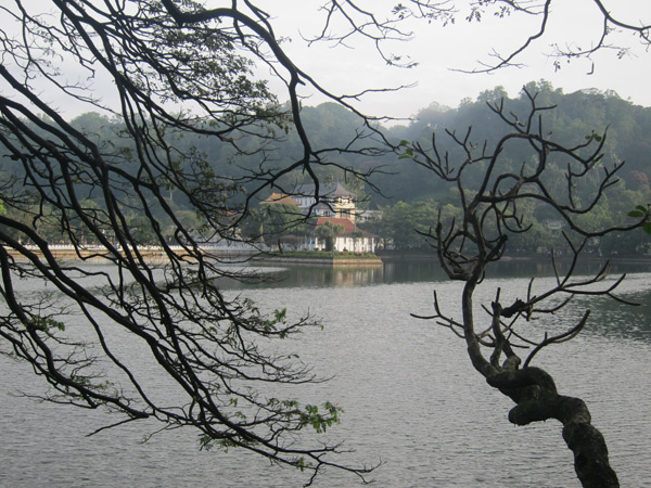 Tìm bình yên nơi đất Phật