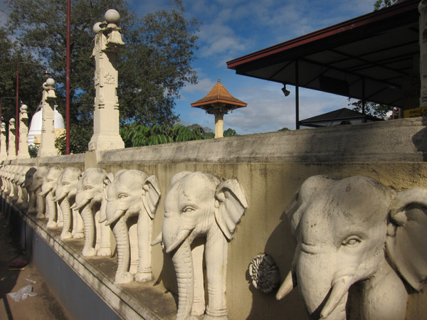 Tìm bình yên nơi đất Phật