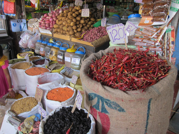 Tìm bình yên nơi đất Phật