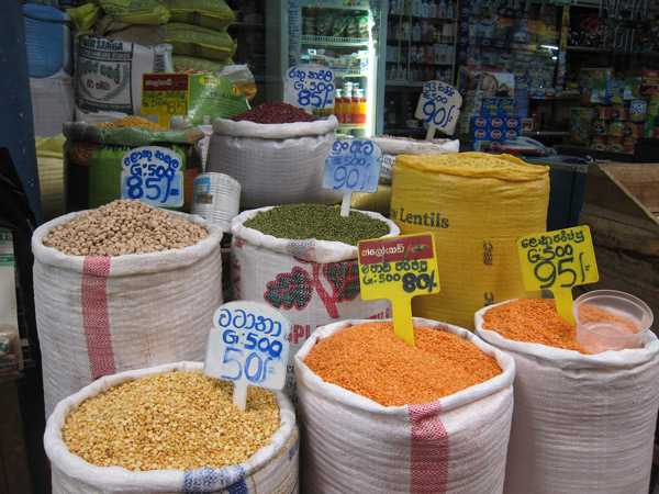Tìm bình yên nơi đất Phật
