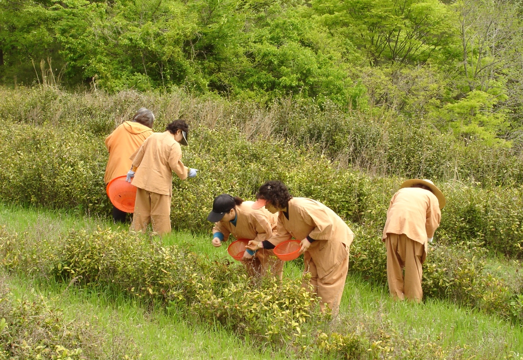 Hàm Nguyệt Sơn Kỳ Lâm Cổ Tự, Hàn Quốc