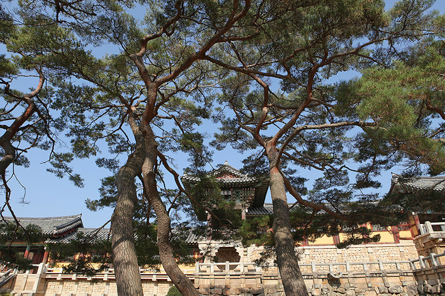 Thăm chùa Bulguksa - Hàn Quốc