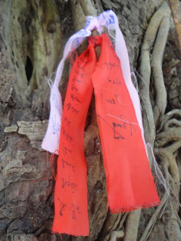 Thanh Hóa: Chùa Khánh Long mang đến cho bà con một mùa xuân như ý