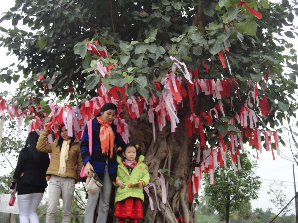 Thanh Hóa: Chùa Khánh Long mang đến cho bà con một mùa xuân như ý