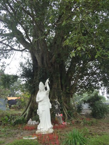 Thanh Hóa: Những chương trình hoạt động đầu xuân tại chùa Khánh Long