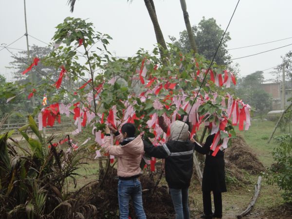 Thanh Hóa: Những chương trình hoạt động đầu xuân tại chùa Khánh Long