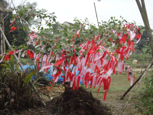 Thanh Hóa: Những chương trình hoạt động đầu xuân tại chùa Khánh Long