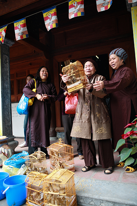Hà Nội: Rộn ràng đón tết Nguyên Tiêu tại chùa